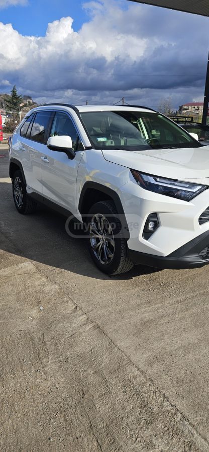 Toyota XLE Premium 4dr All-Wheel Driv — миниатюра 3