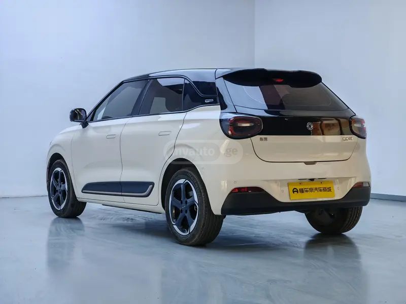 Dongfeng Nano 01 2024 — миниатюра 5