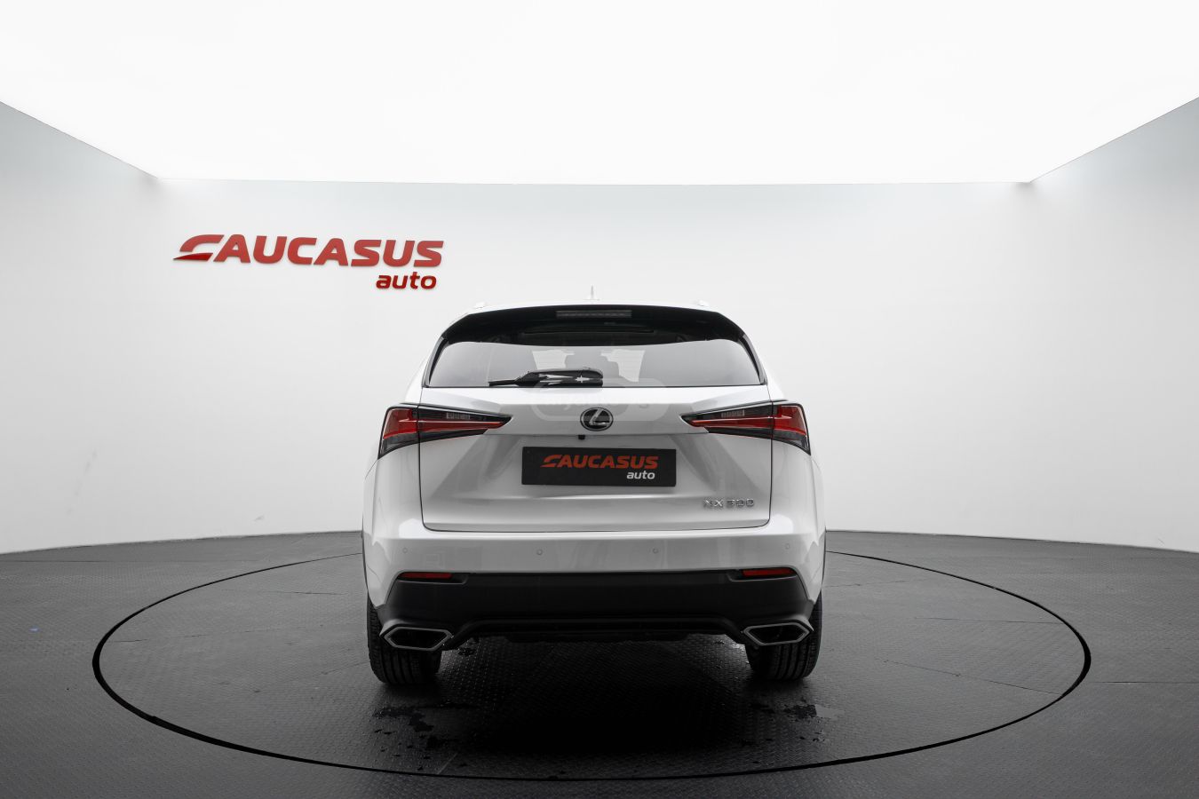 Lexus NX 300 2021 — миниатюра 6