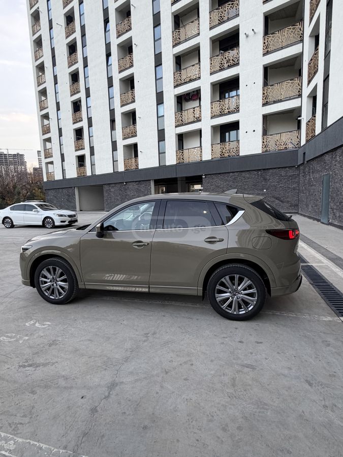 Mazda ПРОХОДНАЯ — миниатюра 3