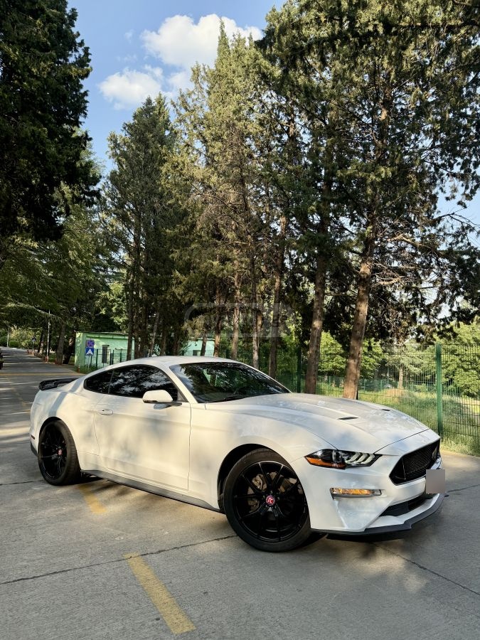 Ford Mustang - фото 1