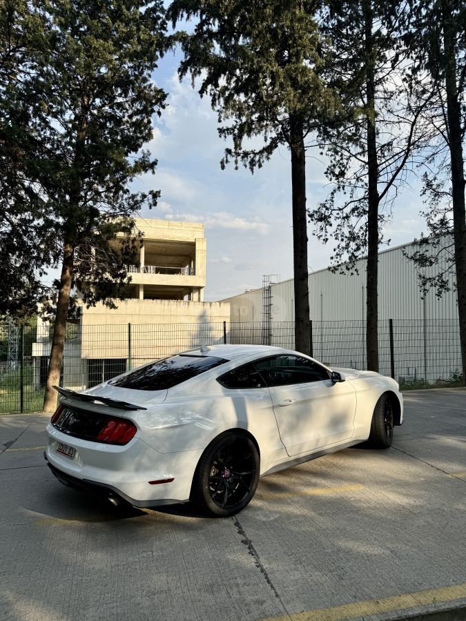 Ford Mustang - фото 2