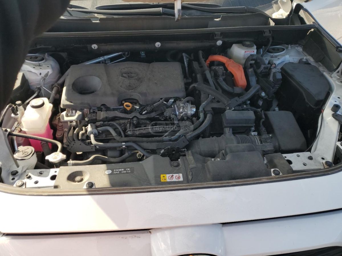 Toyota XLE 4dr All Wheel Drive Automa — миниатюра 12