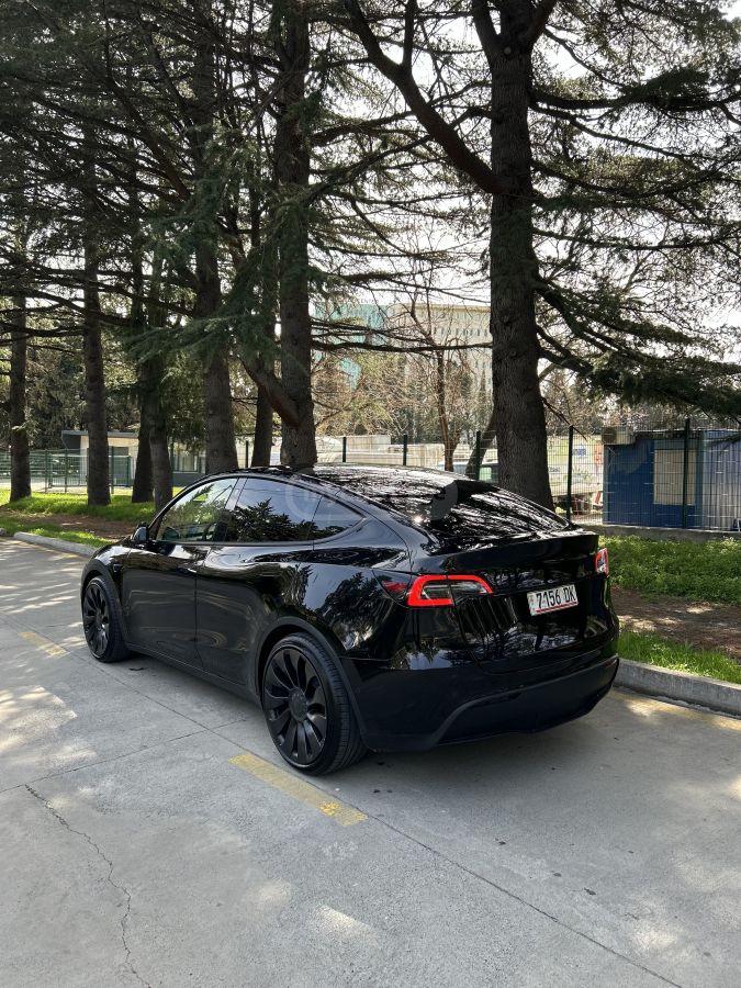 Tesla Model Y - фото 1