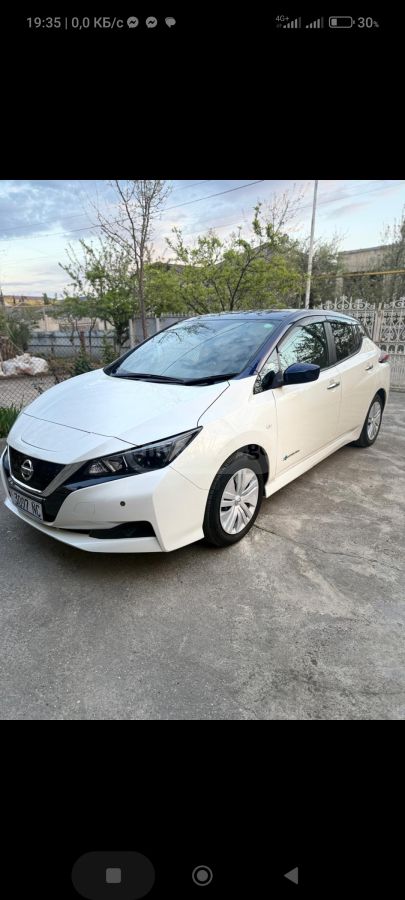 Nissan Leaf - фото 1
