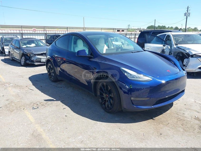 Tesla Model Y - фото 1