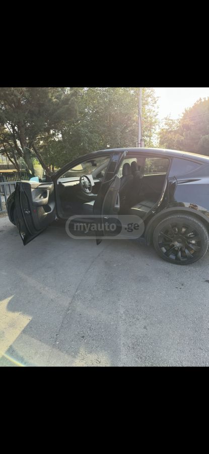 Tesla Model Y - фото 1