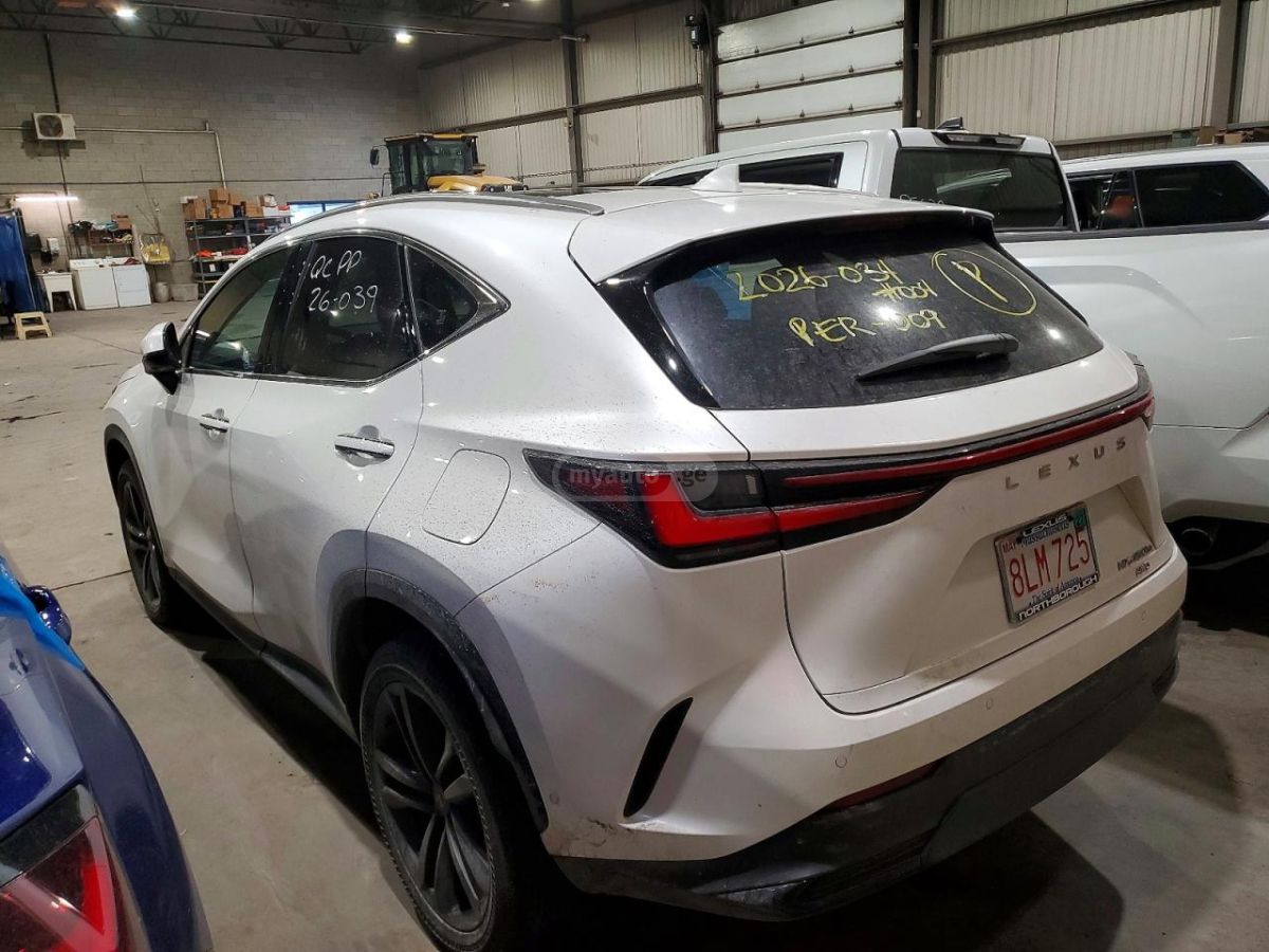 Lexus NX 450 2025 — миниатюра 2