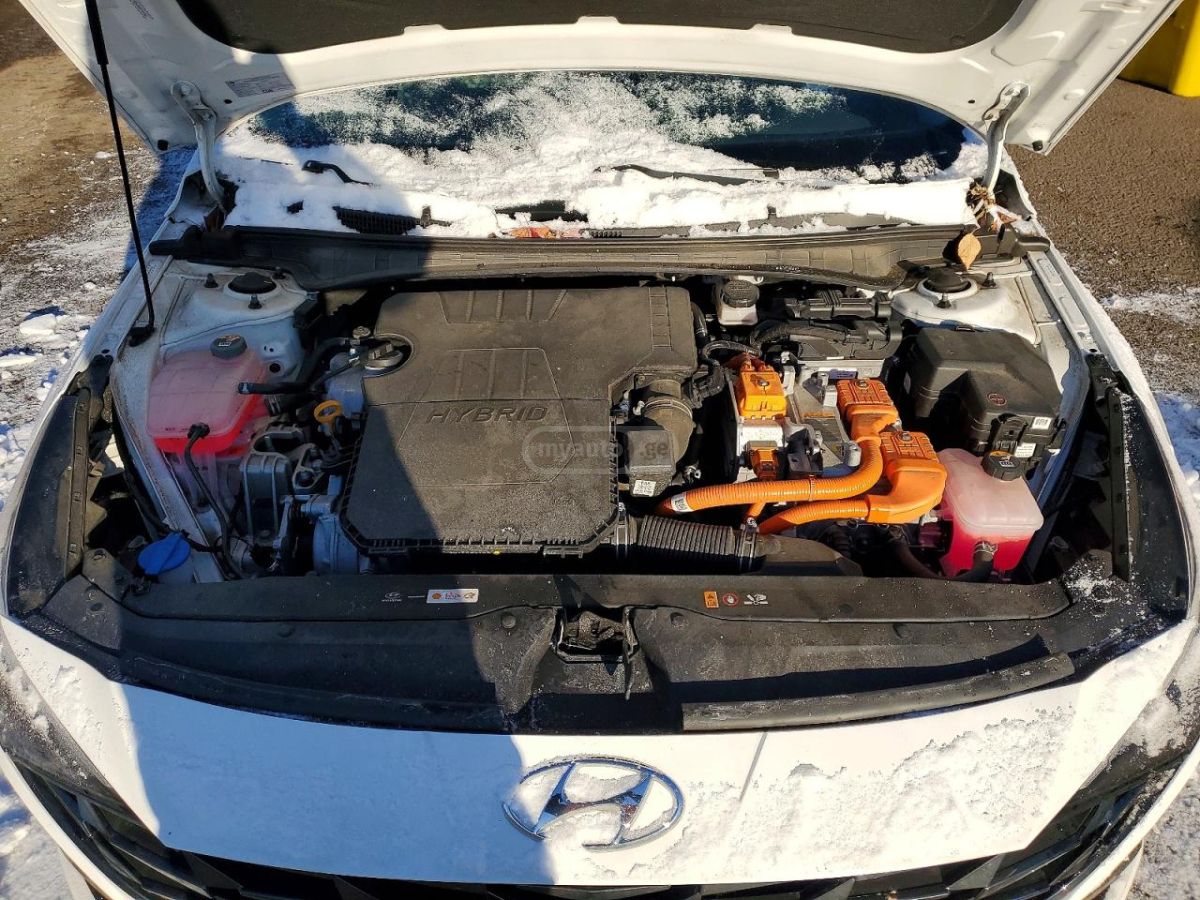 Hyundai Elantra - фото 11