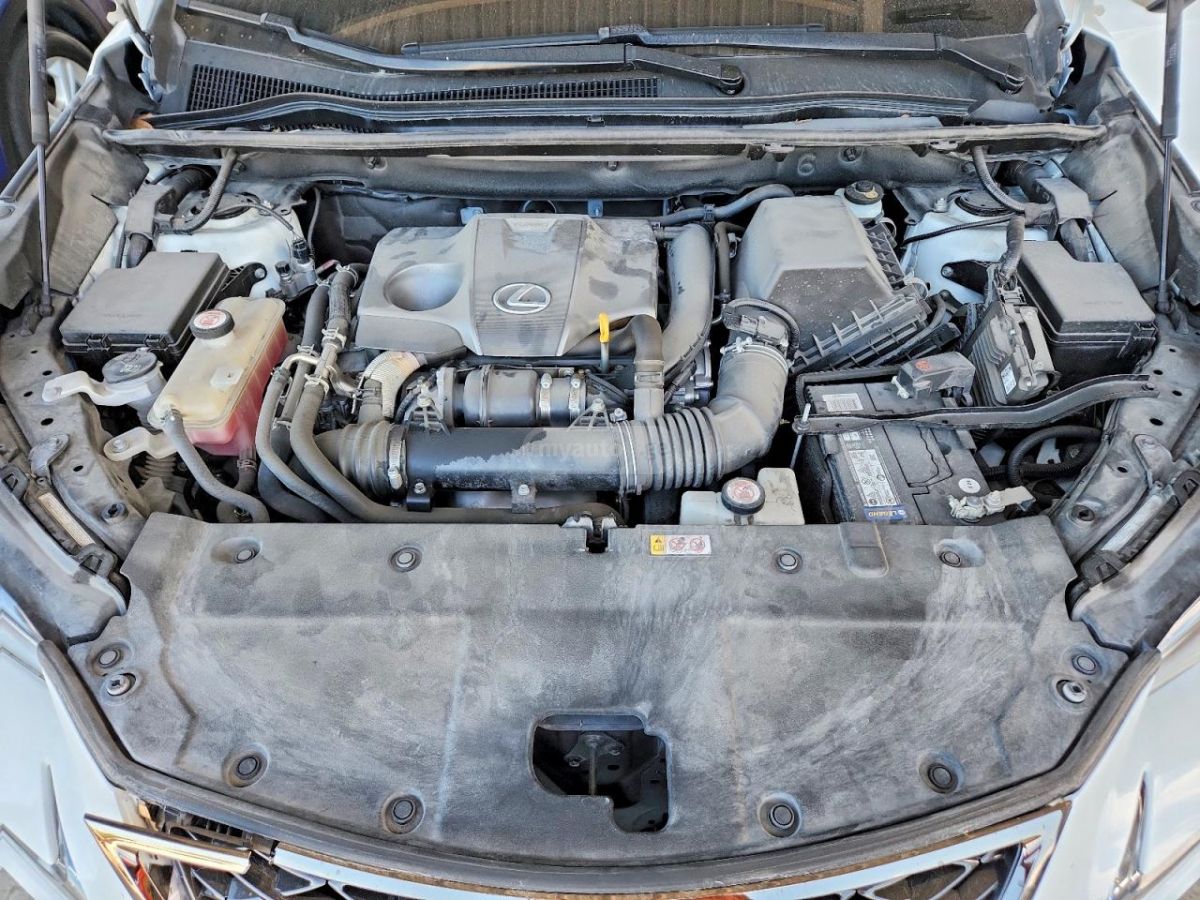 Lexus NX 300 - фото 12