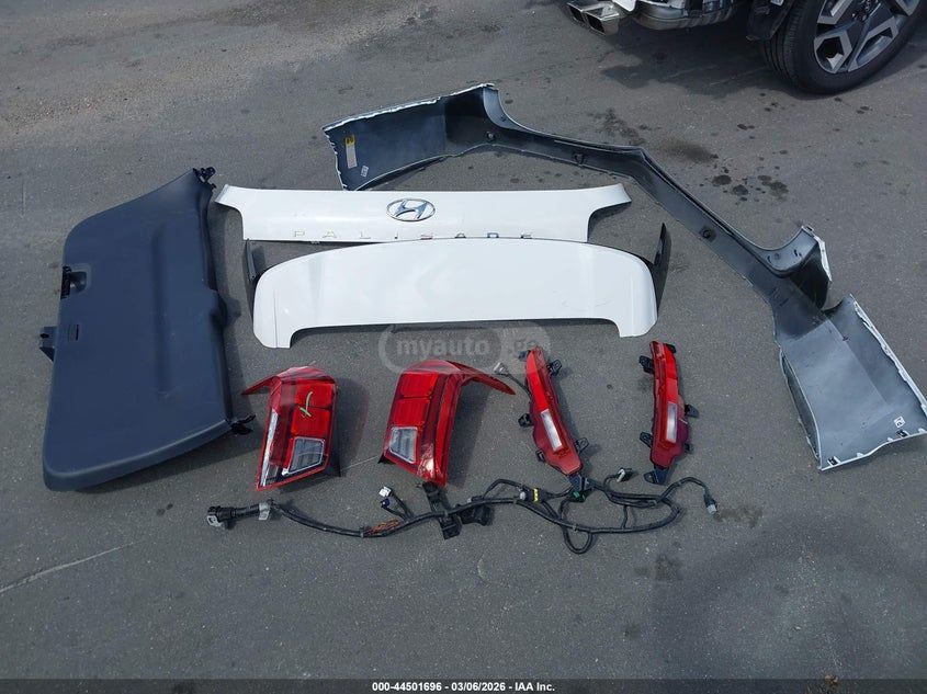 Hyundai Palisade 2024 — миниатюра 11