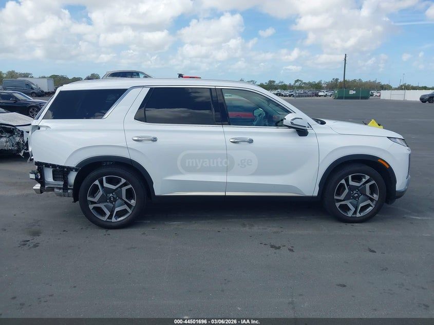 Hyundai Palisade 2024 — миниатюра 13