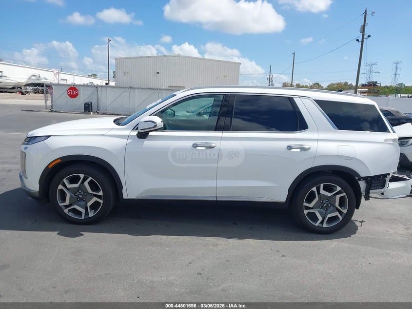 Hyundai Palisade 2024 — миниатюра 14