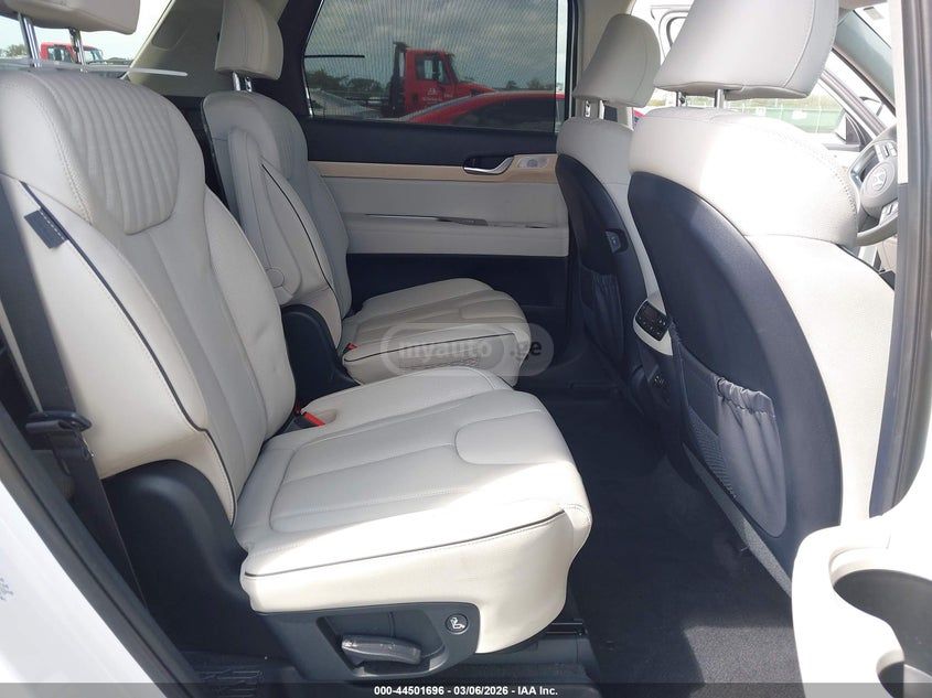 Hyundai Palisade 2024 — миниатюра 8