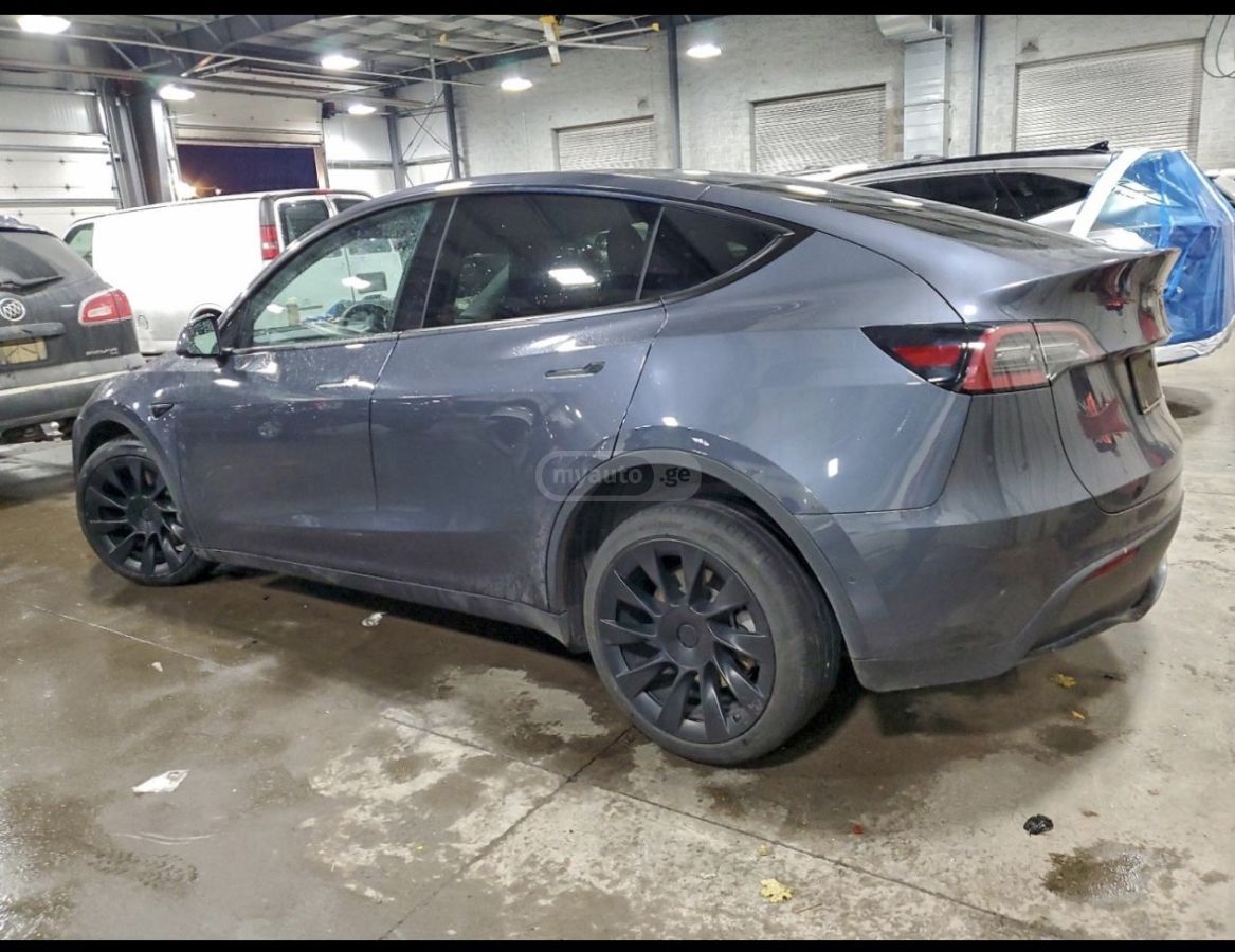 Tesla Dual Motor — миниатюра 2