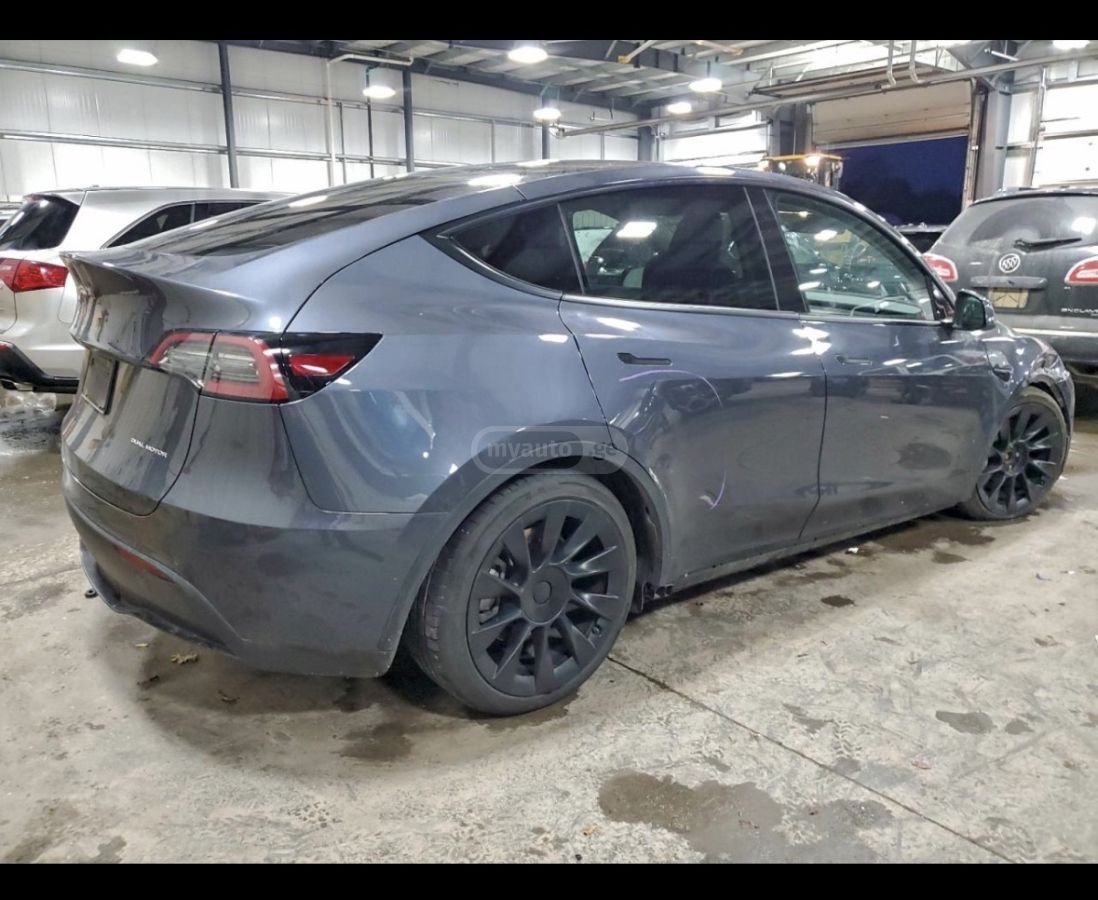 Tesla Dual Motor — миниатюра 3