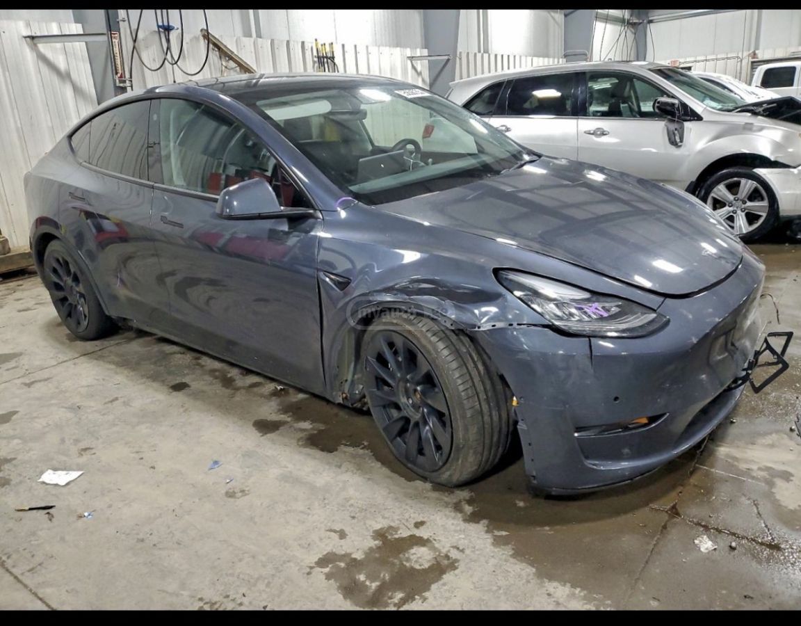 Tesla Dual Motor — миниатюра 4