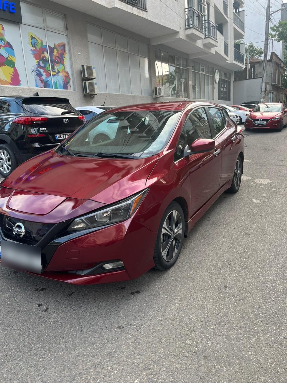 Nissan Leaf - фото 1