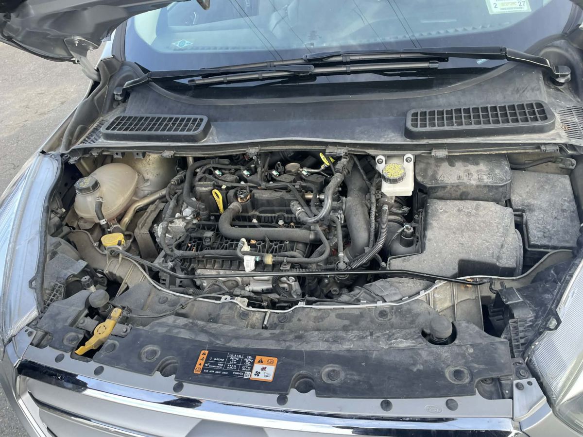 Ford Escape - фото 10