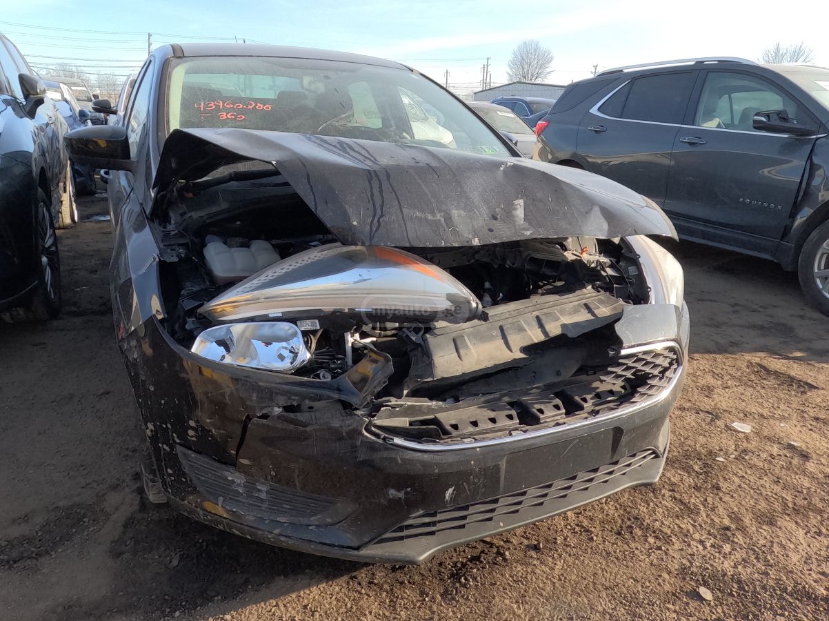 Ford Focus - фото 3