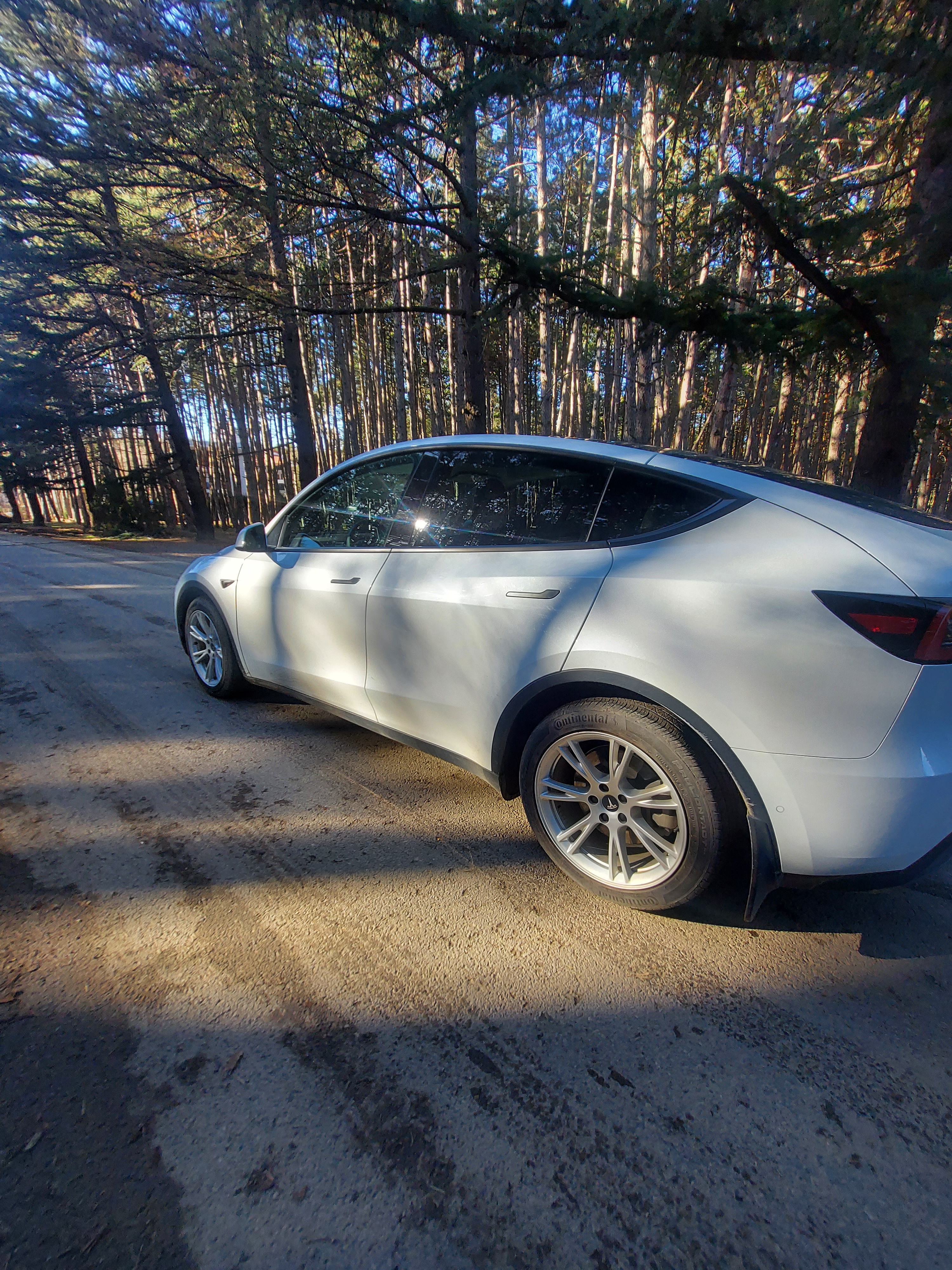 Tesla Model Y - фото 1