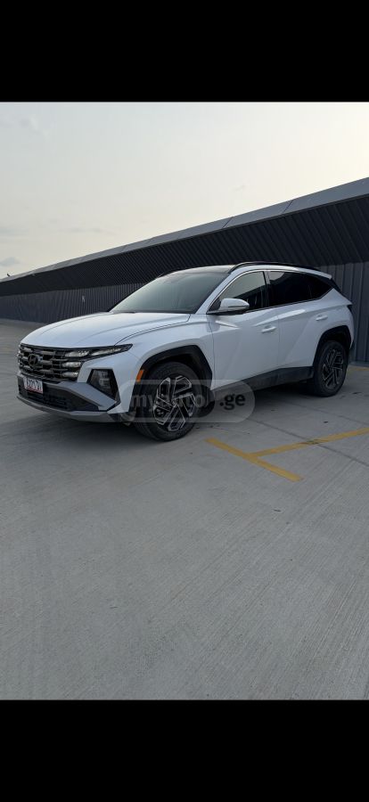 Hyundai Limited — миниатюра 2