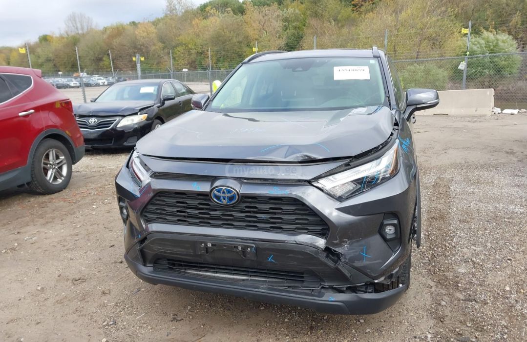 Toyota XLE Premium 4dr All-Wheel Driv — миниатюра 1