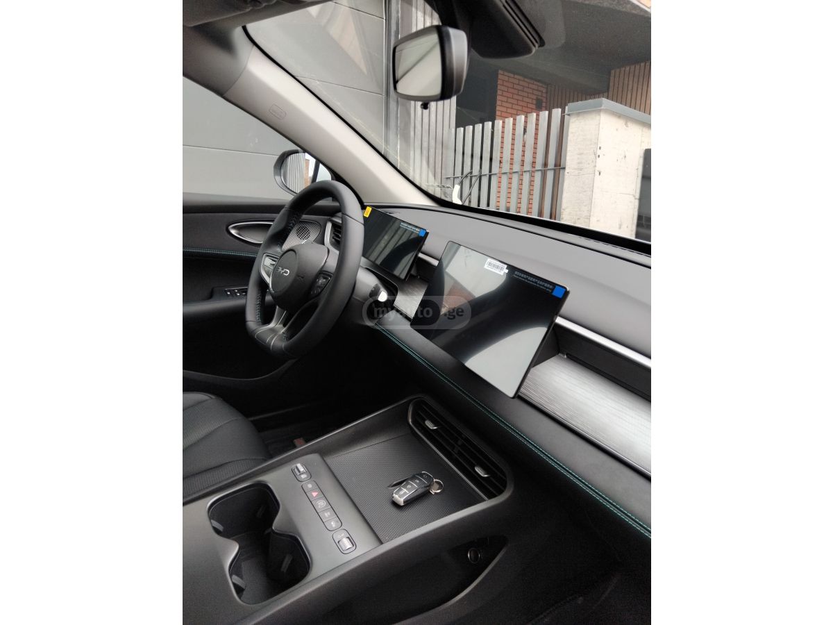 BYD  — миниатюра 1