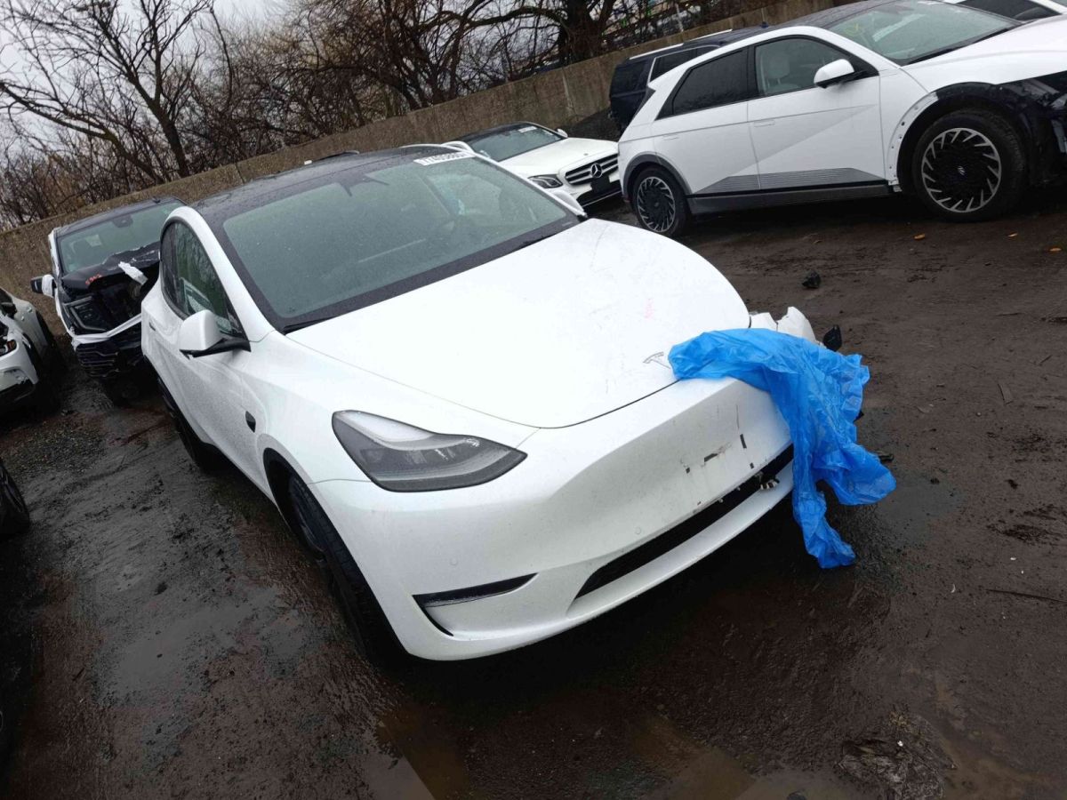 Tesla Model Y - фото 1