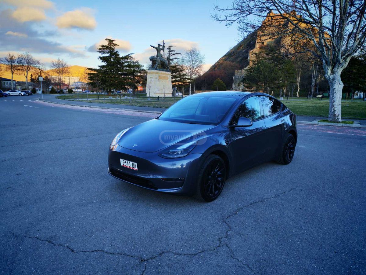 Tesla DUAL MOTOR LONG RANGE — миниатюра 2