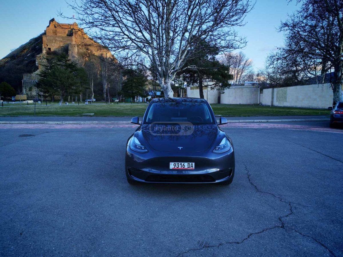 Tesla DUAL MOTOR LONG RANGE — миниатюра 3