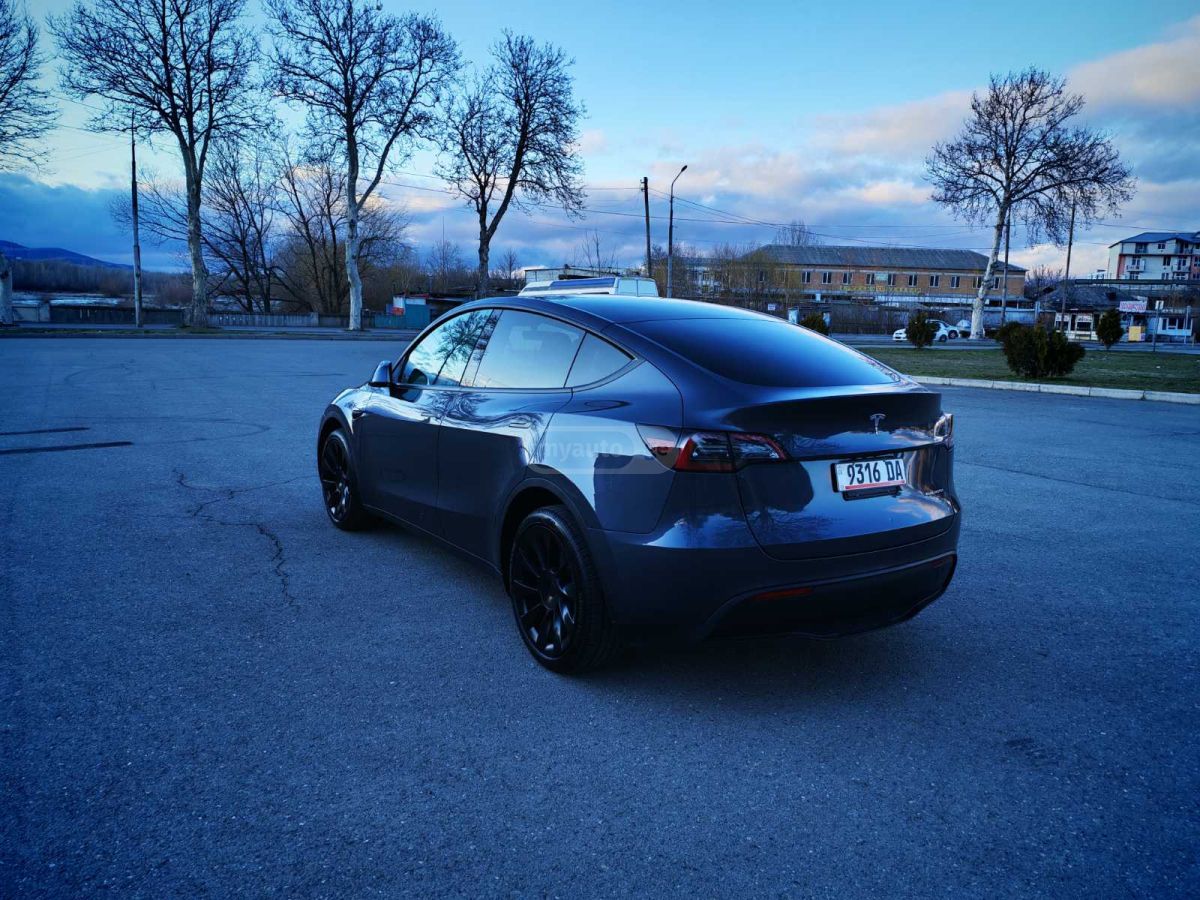 Tesla DUAL MOTOR LONG RANGE — миниатюра 4