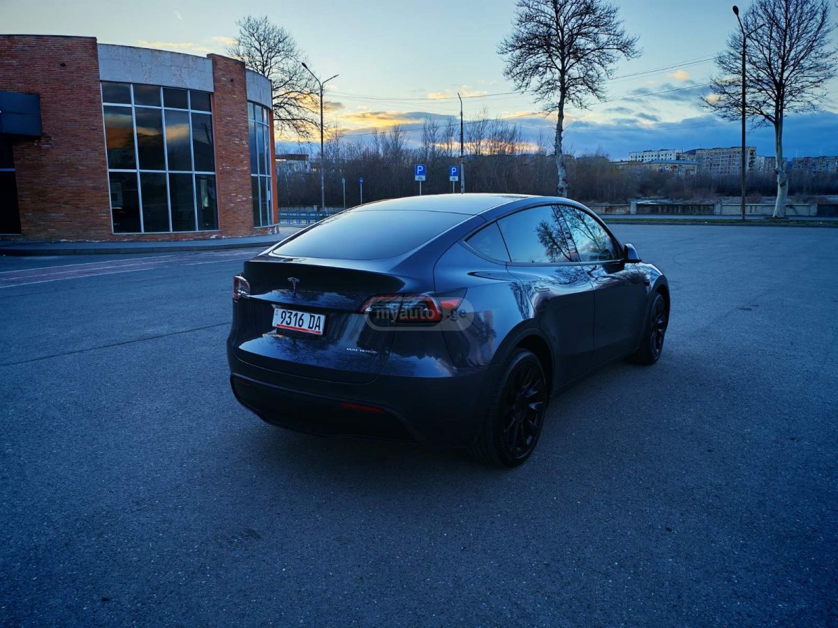 Tesla DUAL MOTOR LONG RANGE — миниатюра 5