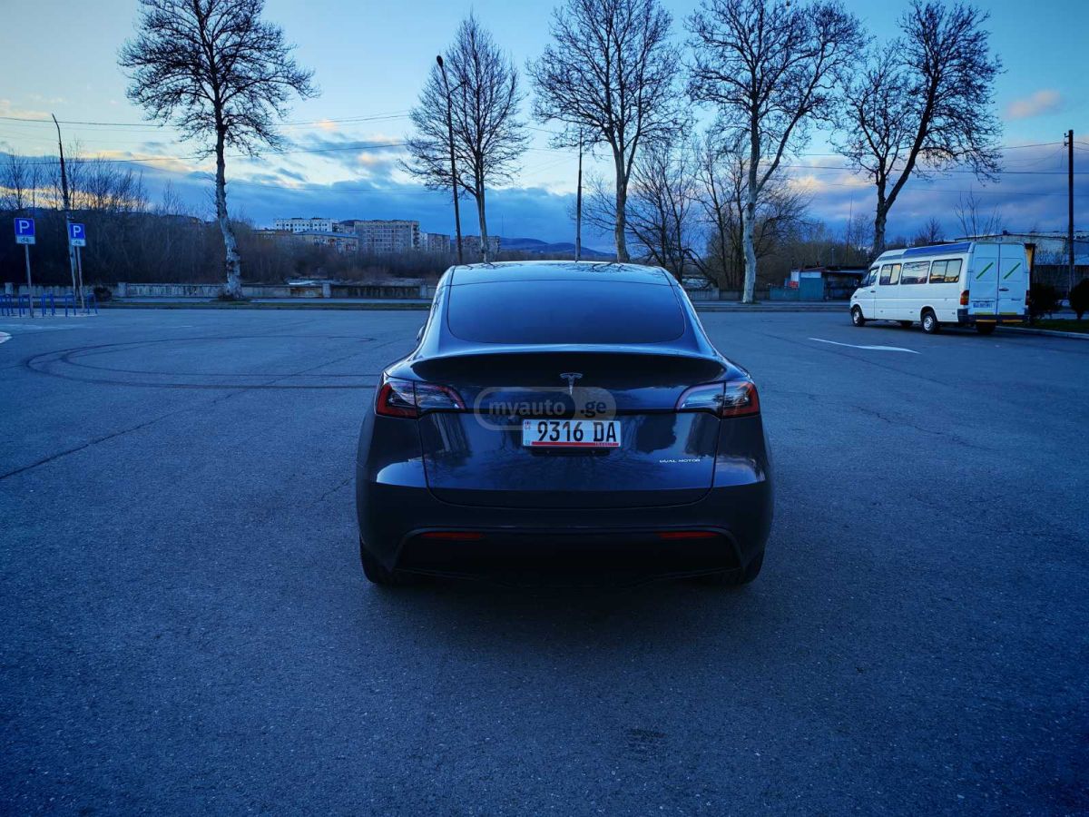 Tesla DUAL MOTOR LONG RANGE — миниатюра 6