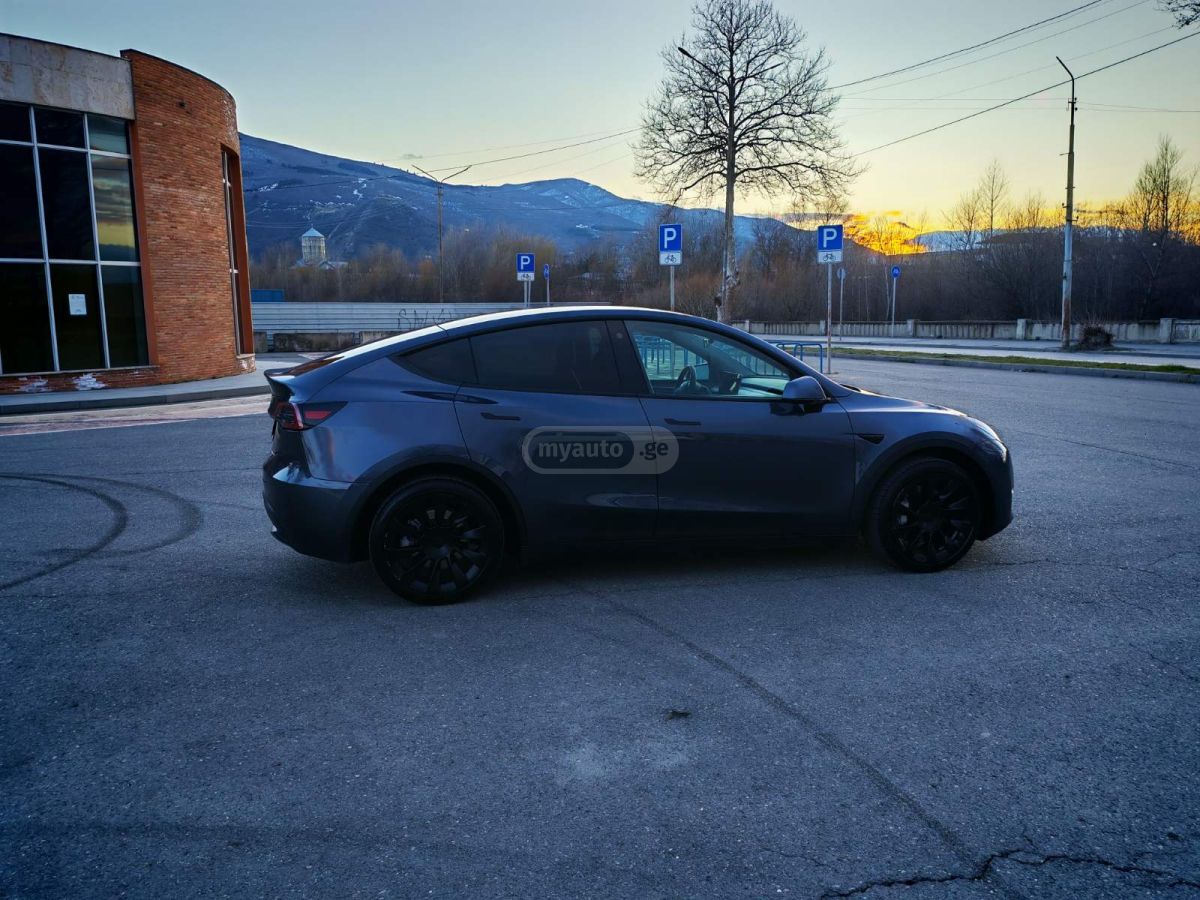 Tesla DUAL MOTOR LONG RANGE — миниатюра 7