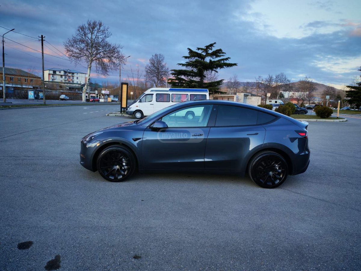 Tesla DUAL MOTOR LONG RANGE — миниатюра 8