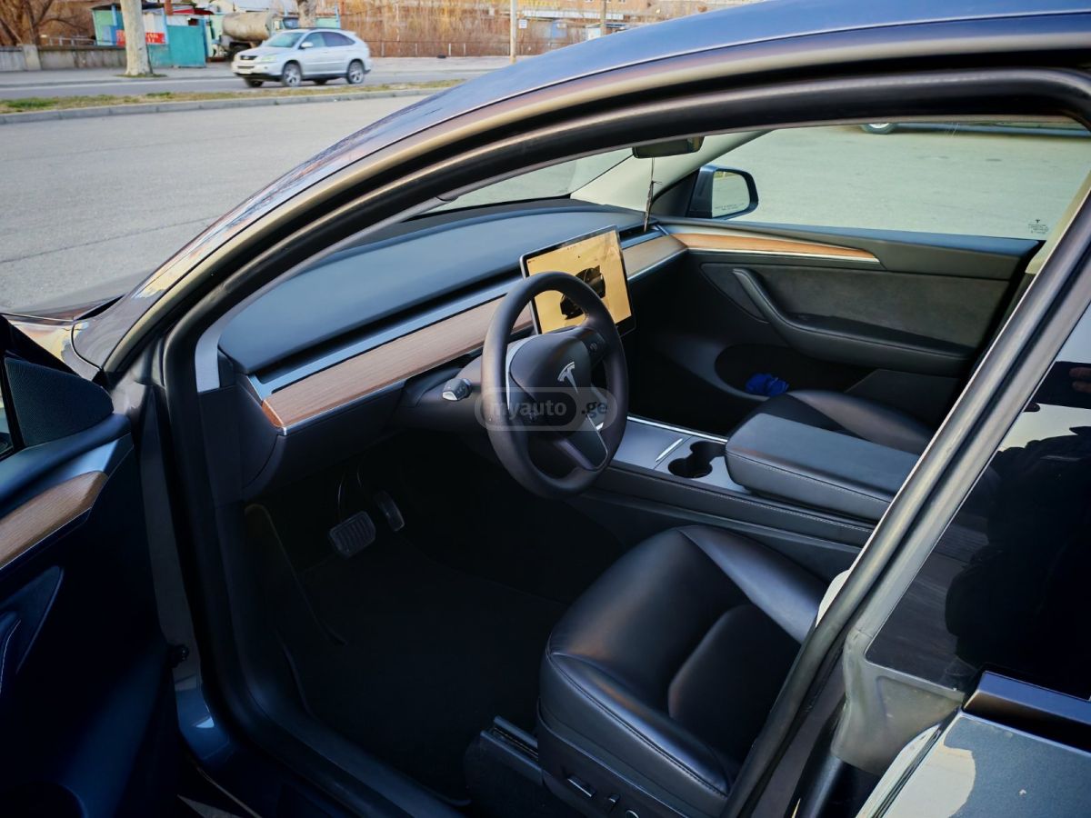 Tesla DUAL MOTOR LONG RANGE — миниатюра 9