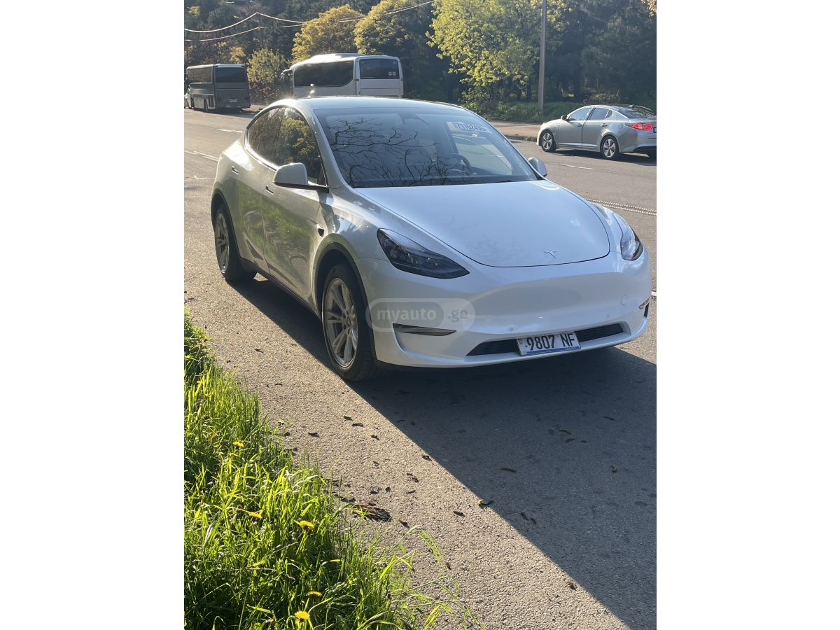 Tesla Model Y - фото 1