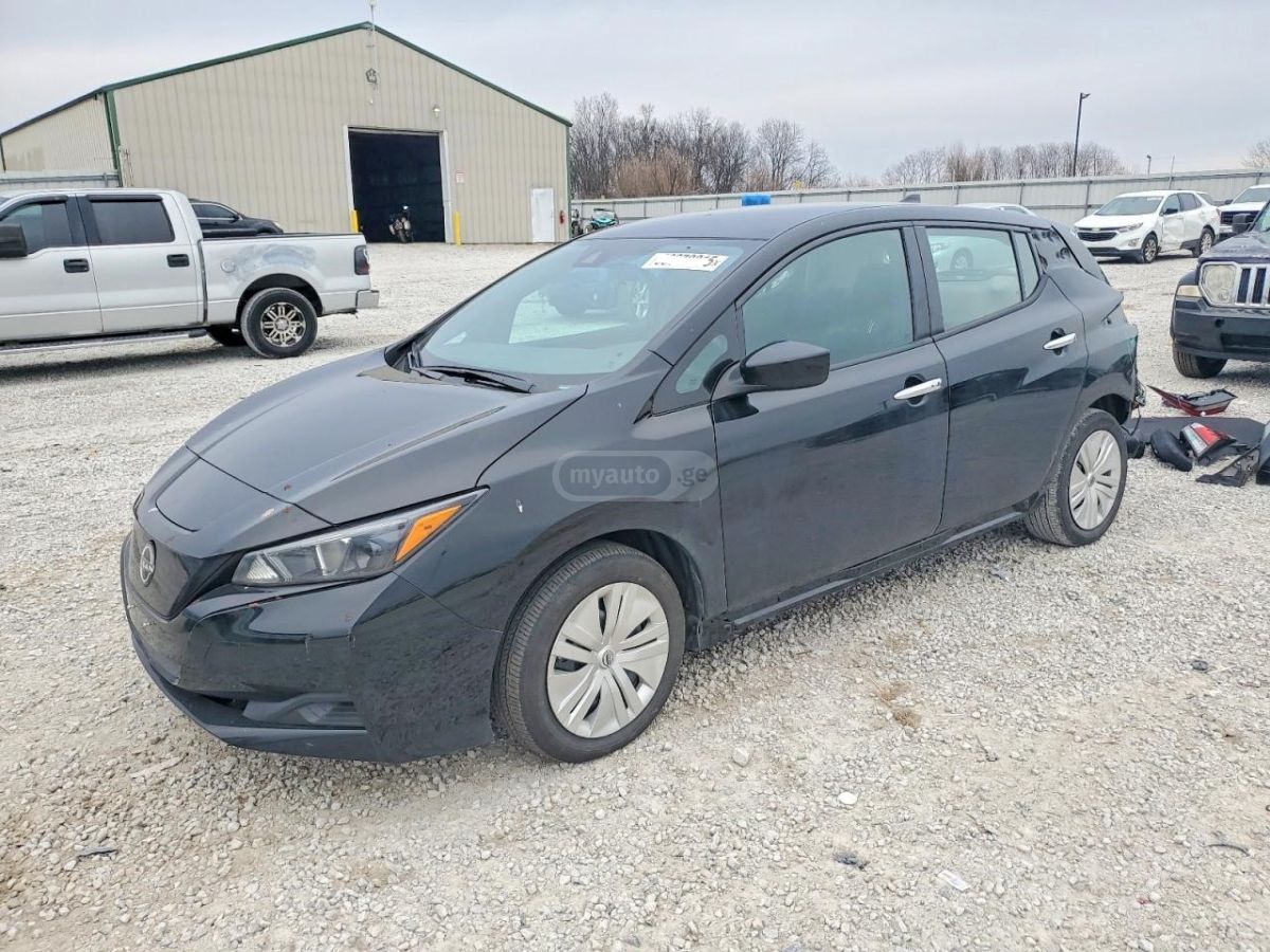 Nissan Leaf - фото 1