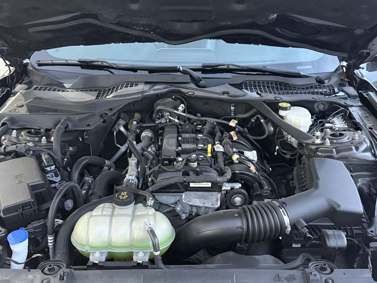 Ford Mustang - фото 11