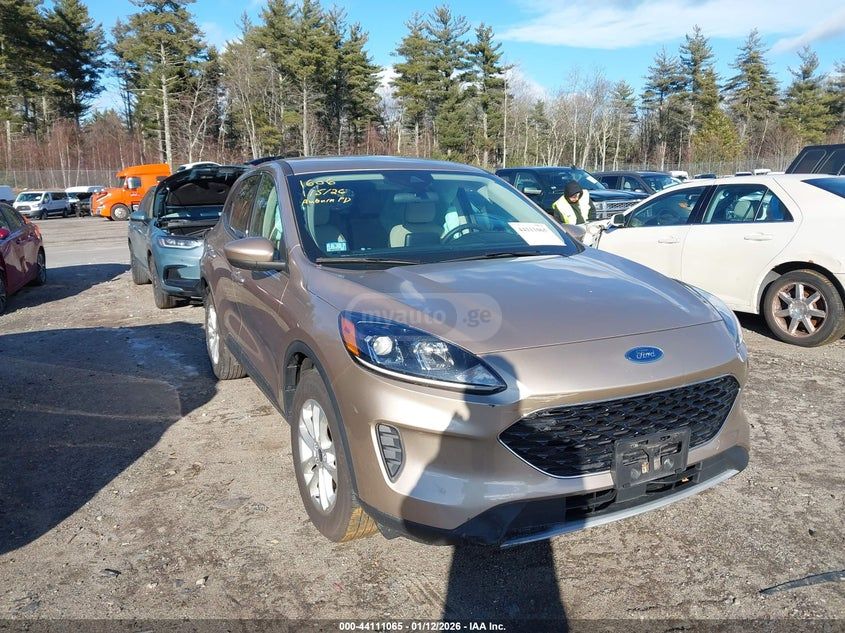 Ford Escape - фото 1