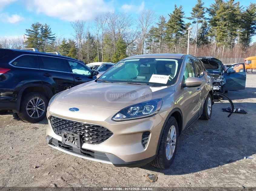 Ford Escape - фото 2