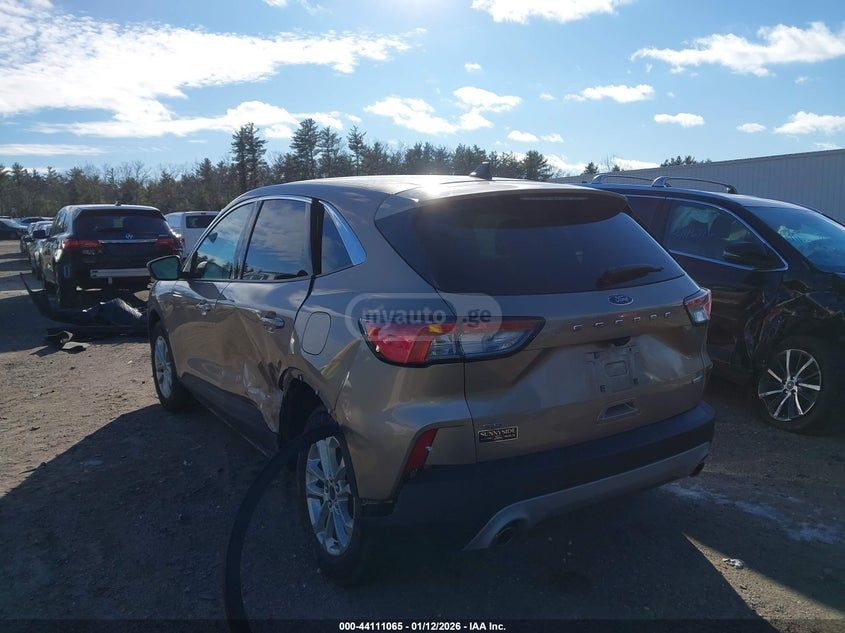 Ford Escape - фото 3