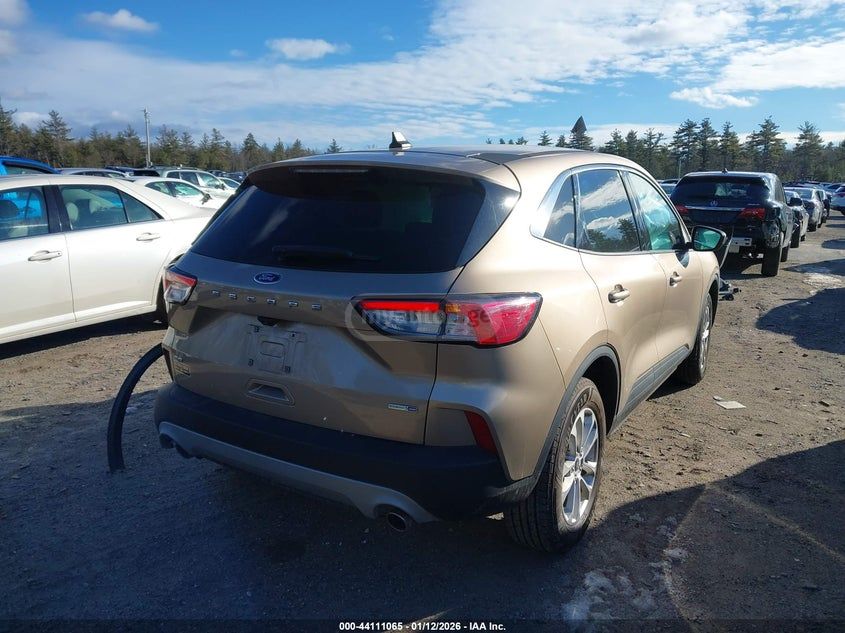 Ford Escape - фото 4