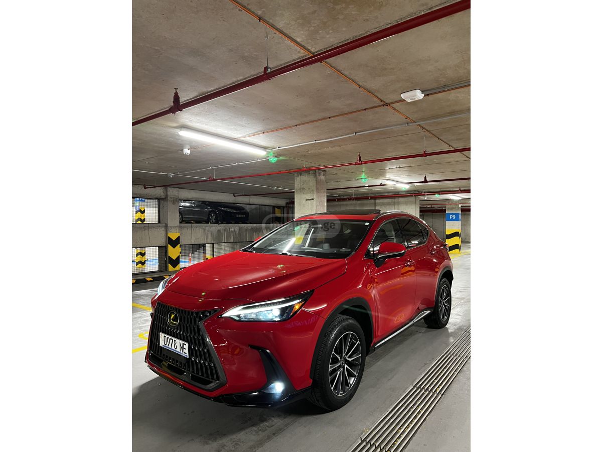 Lexus NX 350 - фото 2