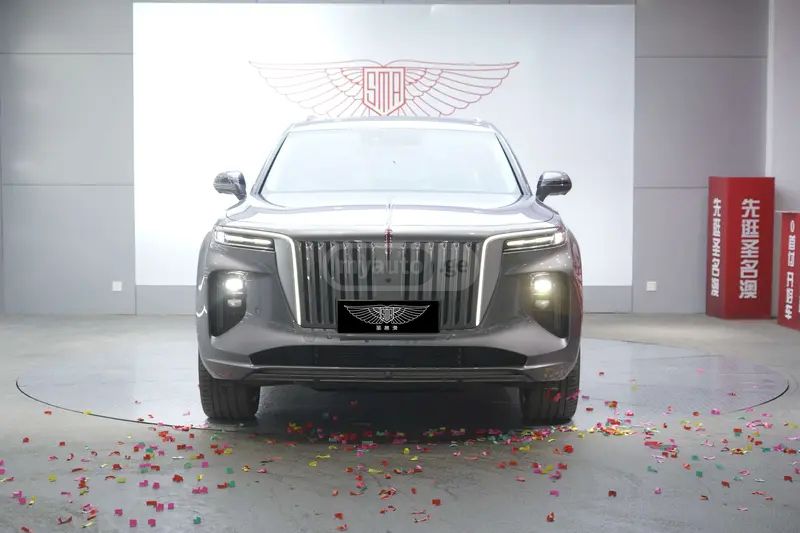 Hongqi E-HS9 - фото 2