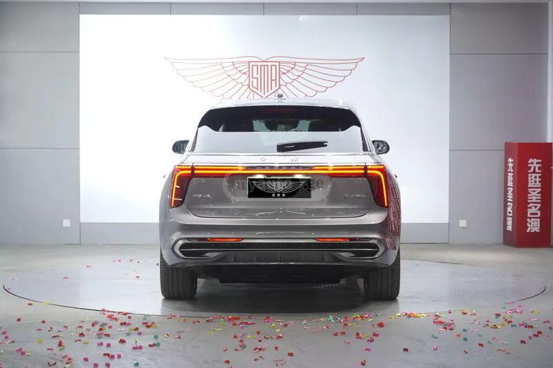 Hongqi E-HS9 - фото 5