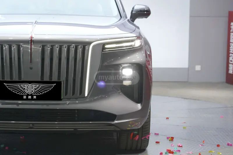 Hongqi E-HS9 - фото 6