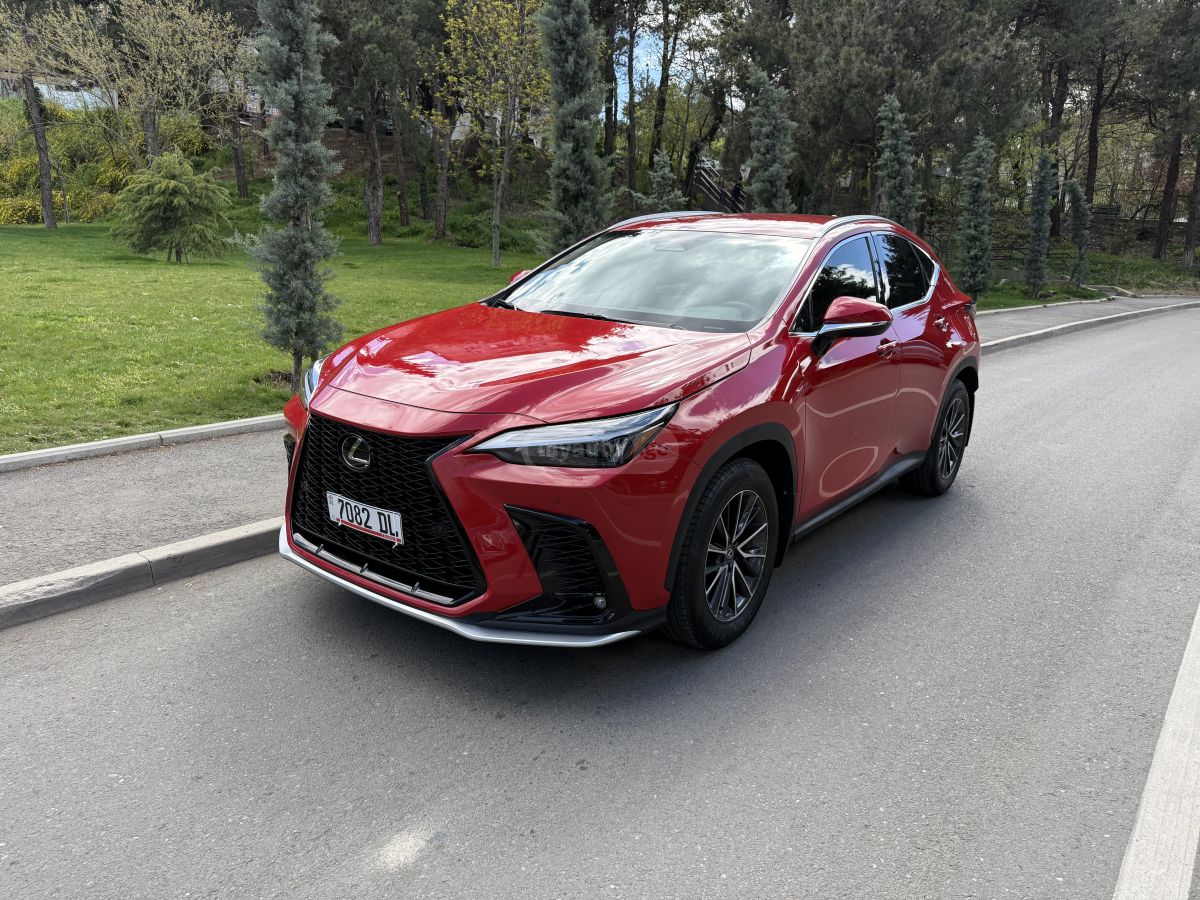 Lexus NX 250 - фото 10