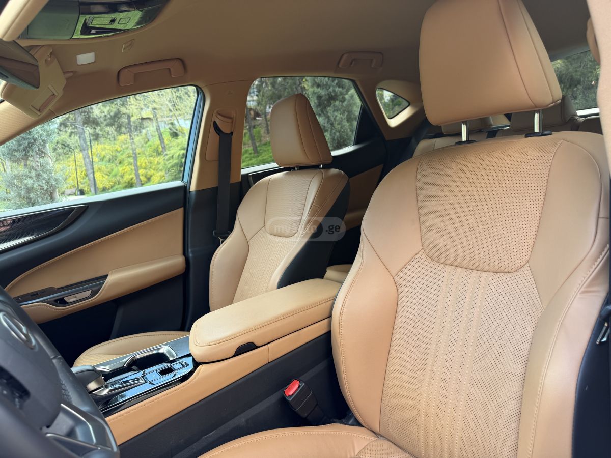 Lexus NX 250 - фото 12